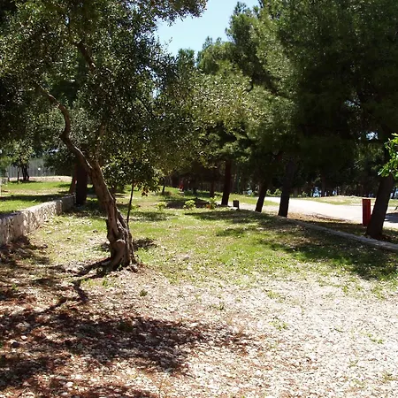 Kemping Camp Adriatic Pitches -primosten