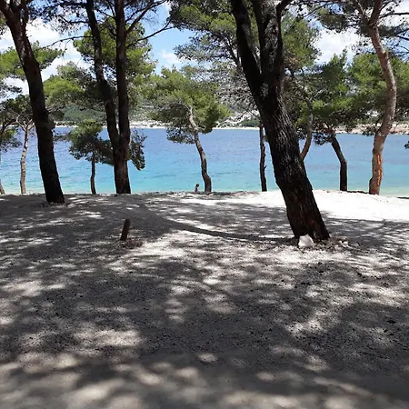 Kemping Camp Adriatic Pitches -primosten