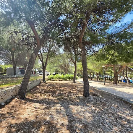 Camping Camp Adriatic Pitches -primosten